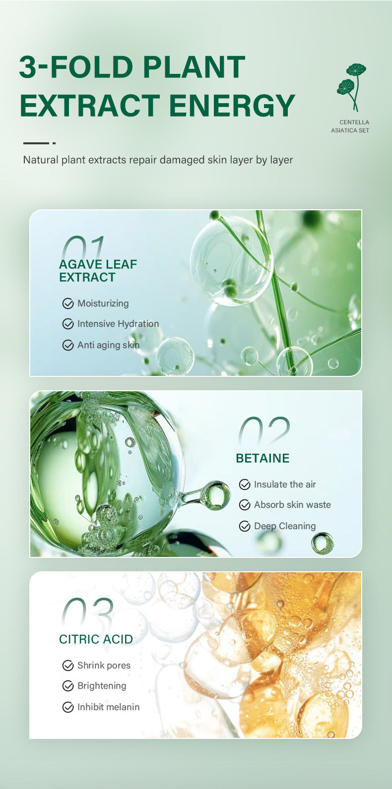 Centella Natural Skin Care Set